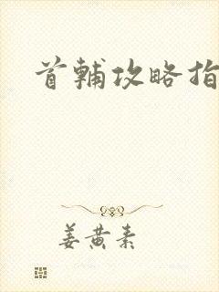 首辅攻略指南封面