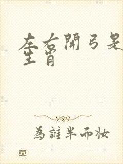 左右开弓是什么生肖