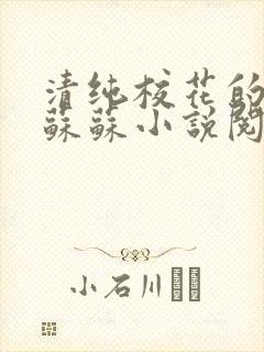 清纯校花的日常苏苏小说阅读全文