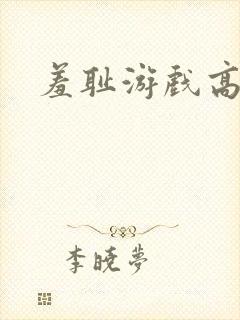 羞耻游戏高h封面