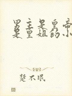 男主是皇帝女主是皇姐的小说