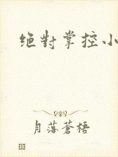 绝对掌控小说封面