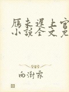 雁未迟上官穿越小说全文免费阅读