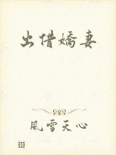 出借娇妻封面