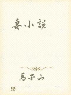 妻小说