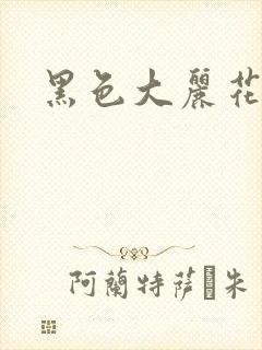 黑色大丽花图片
