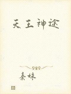 天王神途