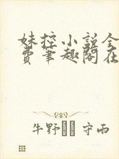 妹控小说全文免费笔趣阁在线阅读