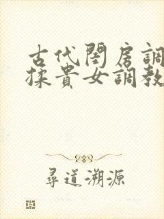 古代闺房调教h揉贵女调教记