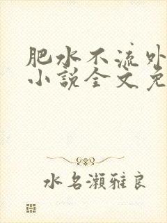 肥水不流外人田小说全文免费阅读1