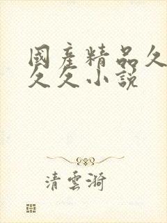 国产精品久久久久久小说封面