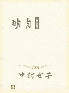 明月珰封面