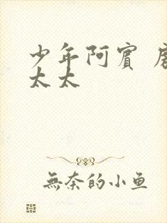 少年阿宾 房东太太