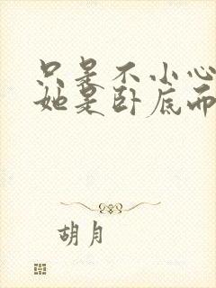 只是不小心发现她是卧底而已