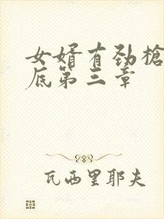 女婿有劲枪枪到底第三章