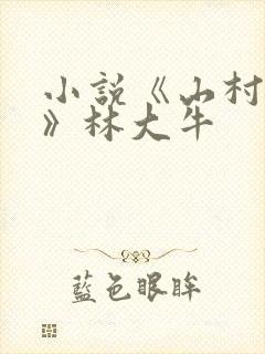 小说《山村情事》林大牛