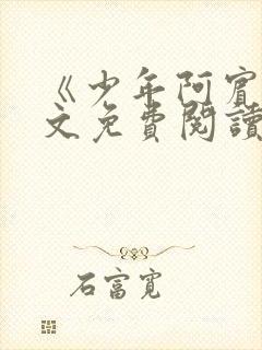 《少年阿宾》全文免费阅读