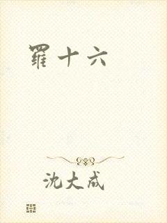 罗十六