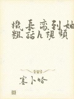 机长脔到她哭h粗话h视频