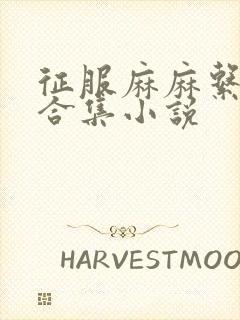 征服麻麻系列大合集小说封面