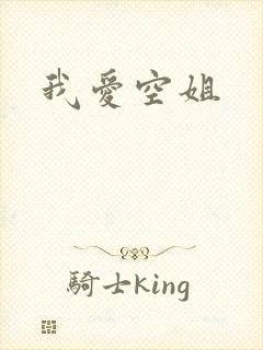 我爱空姐封面