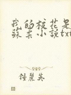 我的校花是福姬苏柔小说txt