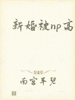 新婚被np高h封面