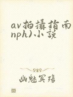 av拍摄指南(nph)小说封面