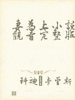 妻为上小说免费观看完整版笔趣阁封面