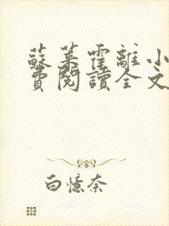 苏莱霍离小说免费阅读全文封面