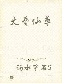 大爱仙尊