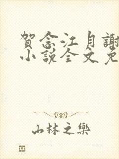 贺念江月谢泊年小说全文免费阅读笔趣阁