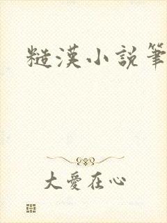 糙汉小说笔趣阁封面