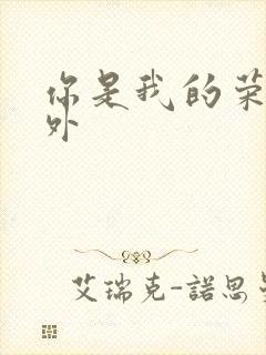 你是我的荣耀番外