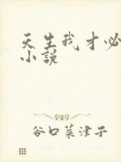 天生我才必有用小说