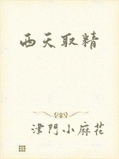 西天取精封面