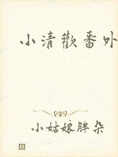 小清欢番外封面