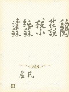 清纯校花的日常苏苏小说阅读全文封面