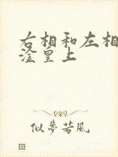 右相和左相一起淦皇上