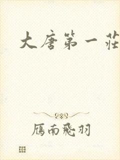 大唐第一庄