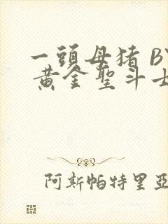 一头母猪 BY 黄金圣斗士