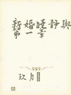 新婚晓静与翁公笫一章封面