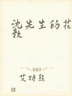 沈先生的花式管教