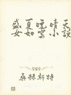 盛夏晚晴天之美女如云小说封面