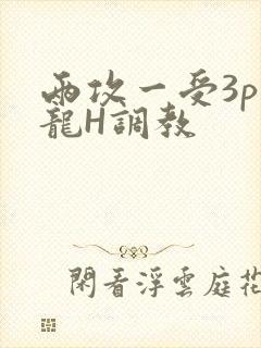 两攻一受3p双龙H调教