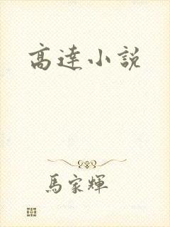 高达小说