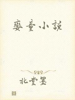 娈童小说封面