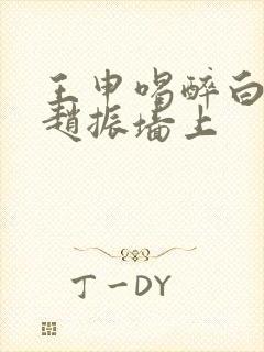 王申喝醉白洁被赵振墙上