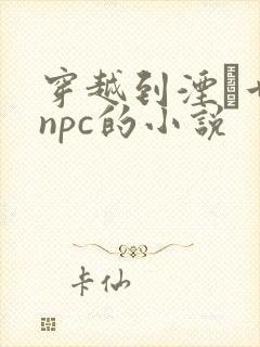 穿越到湮婸世界npc的小说