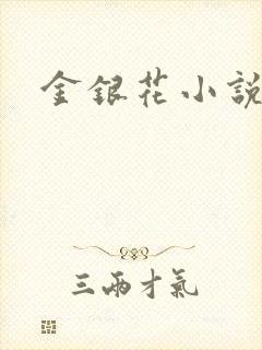 金银花小说乐可